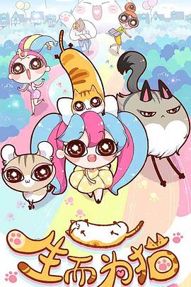 云龙区网站seo优化